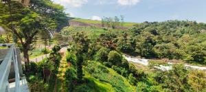 the paradise view stay