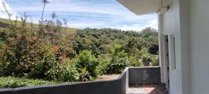 the paradise view stay