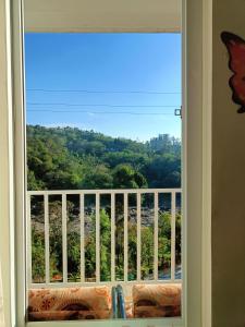 the paradise view stay