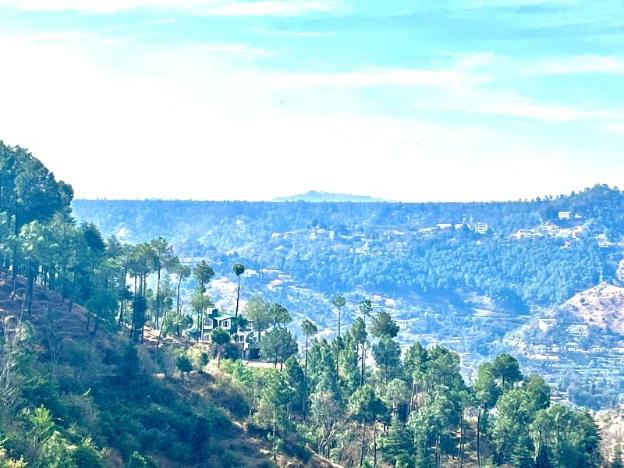 hill side inn by purple tree villa