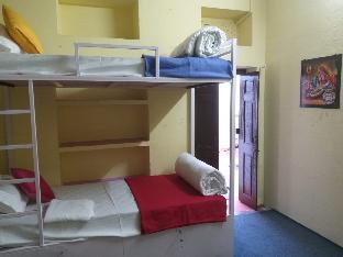 city and palace view guest house