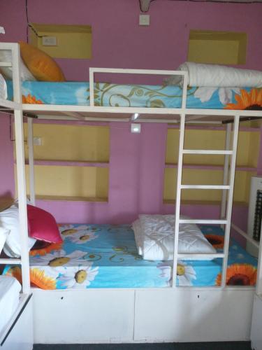 City And Palace View Guest House,,1 star