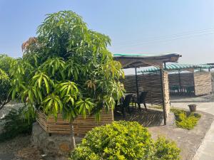 tuljapur