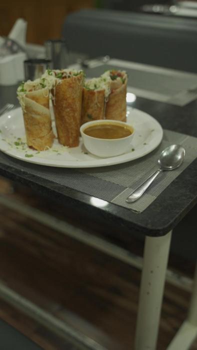 hotel opera sasan gir