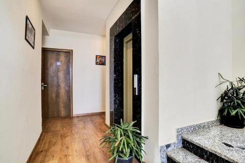 collection o the miscue