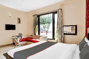 collection o the miscue