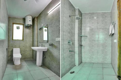 collection o the miscue