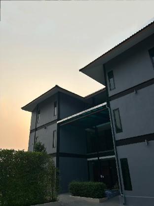 new skyway