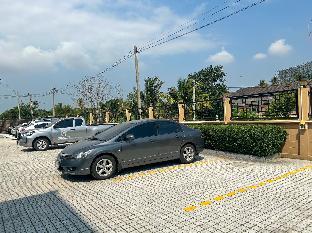new skyway