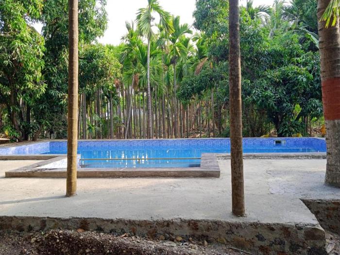 kashid