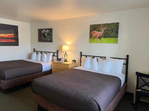 antlers inn