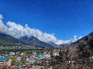 the trip house manali