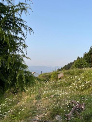 sunset lagoon dalhousie