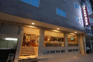 the elevate hotel near delhi airport