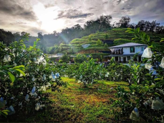 i do farmstay