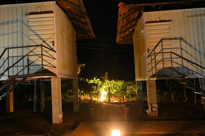 vigo homes