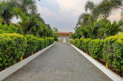 collection o homely stays resort