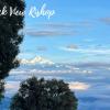 rock view rishop