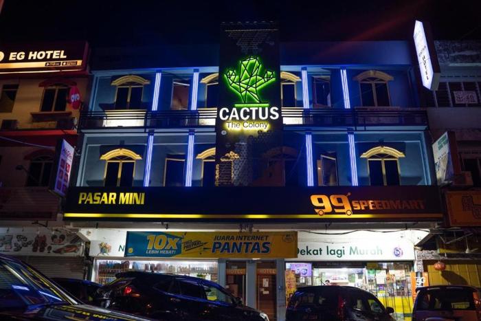 the colony by cactus hotel dedap