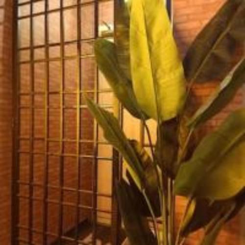 cozy private queen room in bayan lepas