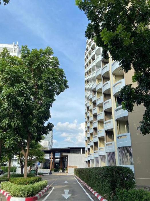 dluxx thammasat