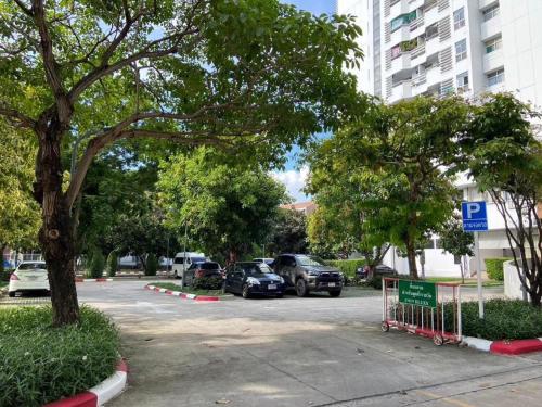 dluxx thammasat