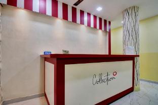 collection o g n palace