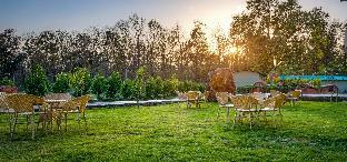 amaay the corbett jungle resort