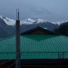 tosh