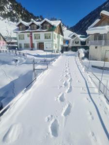 hotel intermountain sonamarg