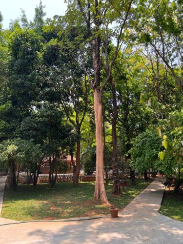 surya eco and wedding resort