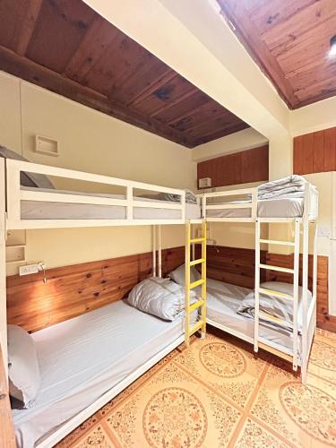 whoopers hostel jibhi