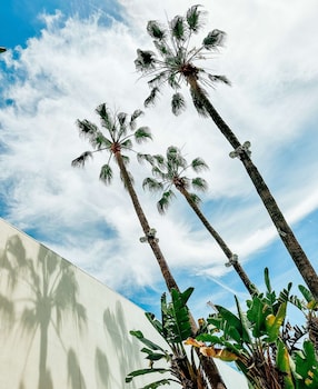 the beverly hilton