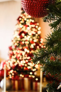 The Beverly Hilton,Los Angeles>>Beverly Hills,5 star