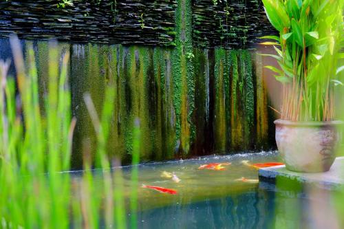 yao bada badoo boutique resort