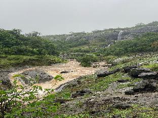 euphoria wild life resort and camping