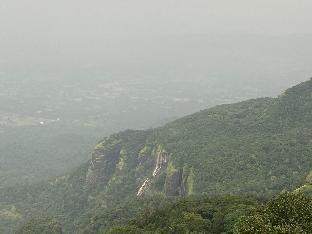 euphoria wild life resort and camping