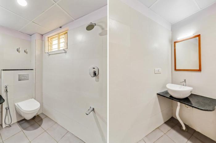 collection o champion paradise