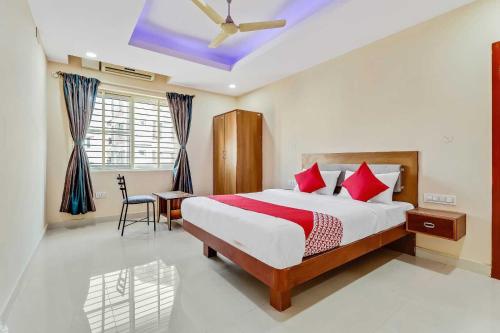 collection o champion paradise