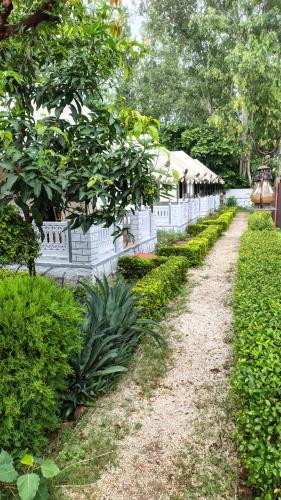 the quila camps and resort