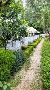 the quila camps and resort