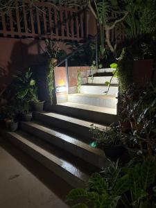 the burrow in south goa near dabolim airport