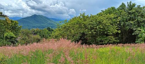 pai sunrise camping resort