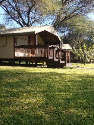 maun