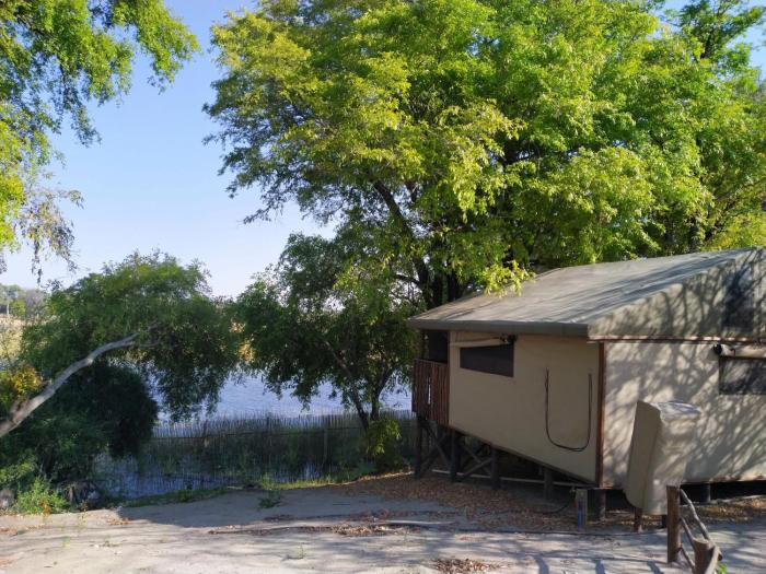 maun