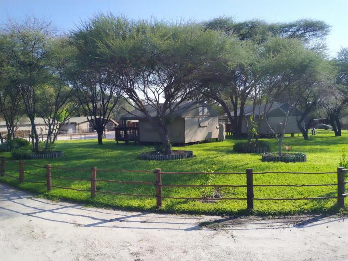 maun