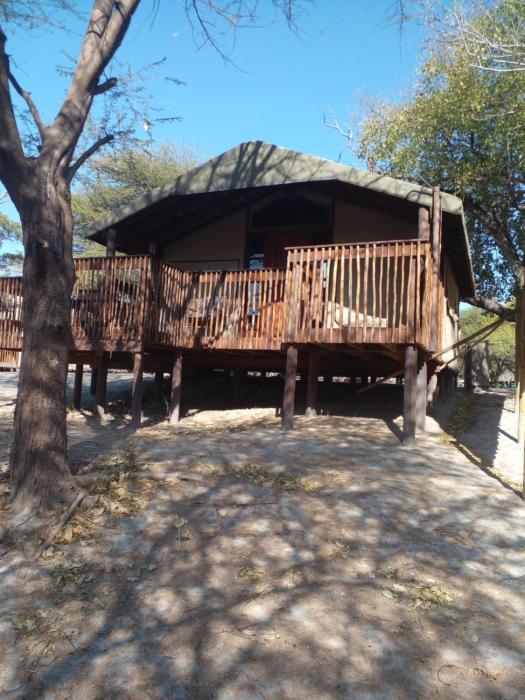 maun