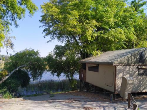 maun