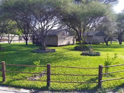 maun