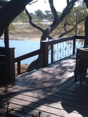 maun